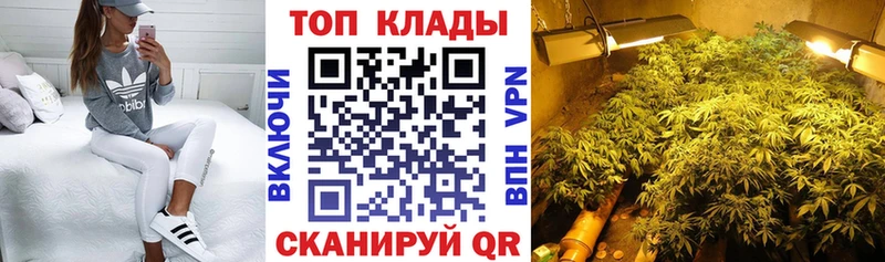 Купить закладку Cocaine  Мефедрон  ГАШИШ  Волхов