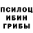 Галлюциногенные грибы Psilocybine cubensis xewa