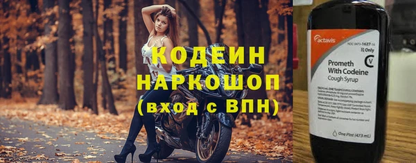 шишки Бородино