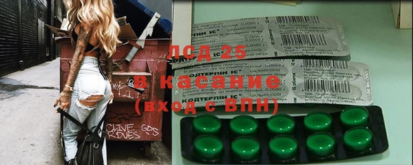 шишки Бородино