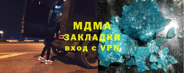 шишки Бородино