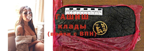 шишки Бородино