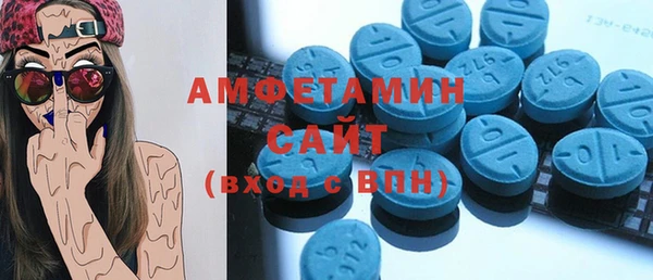 шишки Бородино