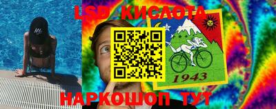 стаф Берёзовский