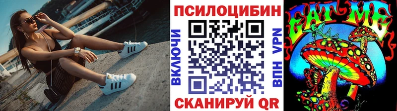 Купить где  Волхов  Псилоцибиновые грибы мицелий 