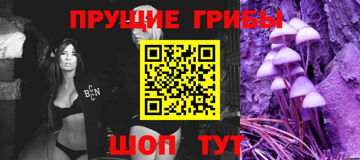 Галлюциногенные грибы прущие грибы  что такое   Волхов  Вход с VPN 