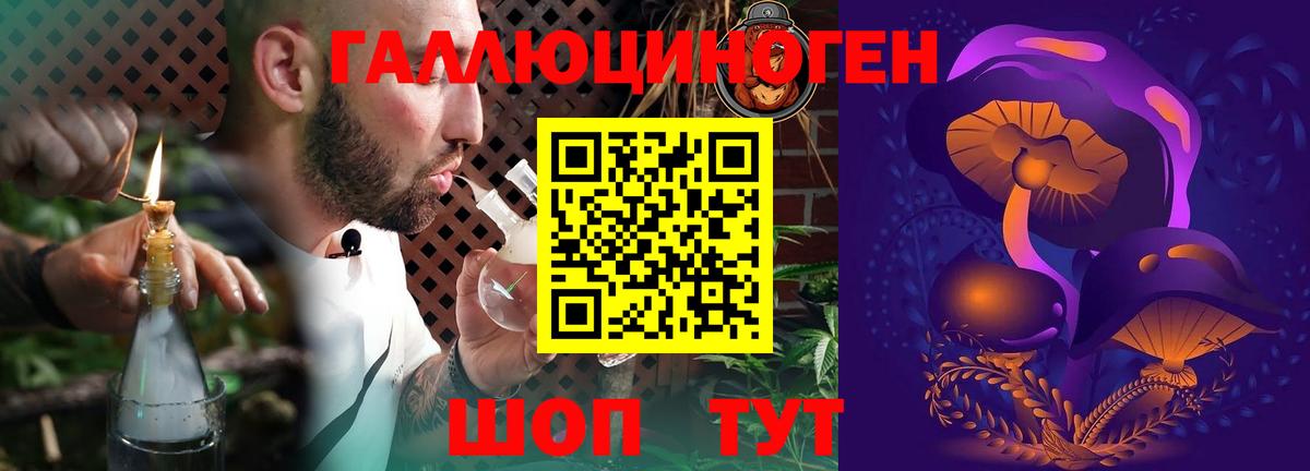 Галлюциногенные грибы Magic Shrooms Волхов