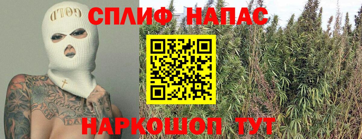 Канабис планчик  Бошки марихуана гибрид  Марихуана планчик  Волхов 