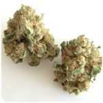 Шишки "White Widow"  (Белая вдова)  Гидропоника -  Бошка VHQ в Волхове